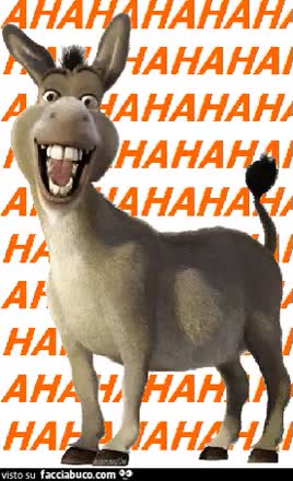 gif animata