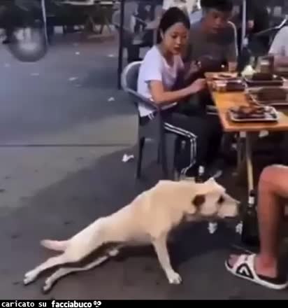 Gif Animata
