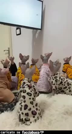 gif animata