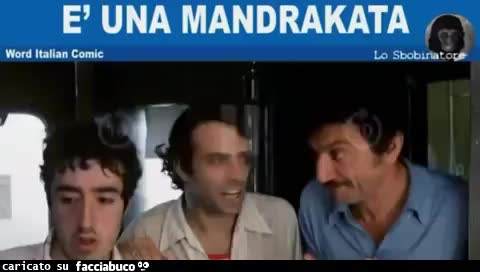 gif animata