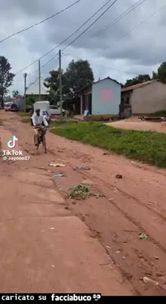 Gif Animata