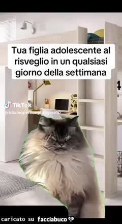 Tua figlia adolescente al risveglio in un qualsiasi giorno della settimana