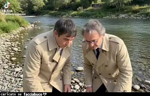 gif animata