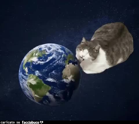 Gif Animata