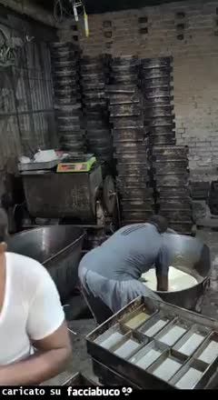 Gif Animata