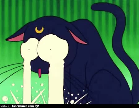 gif animata