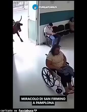 Gif Animata