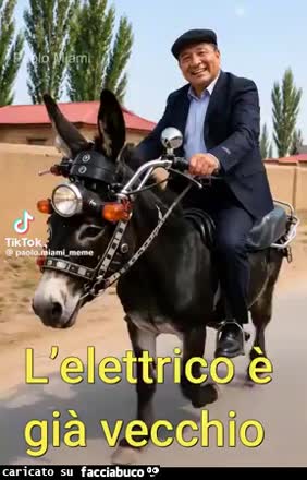 Gif Animata