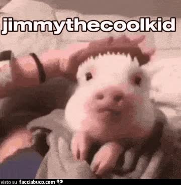 gif animata