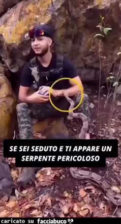 Gif Animata