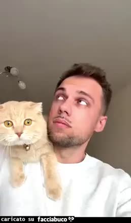 Gif Animata