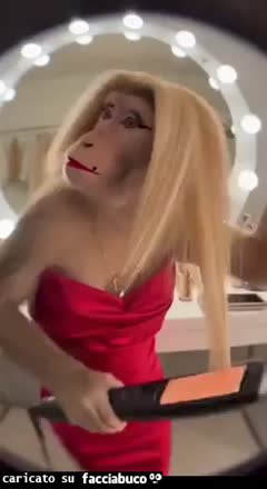 Gif Animata