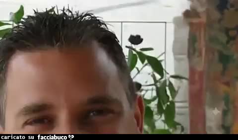 gif animata