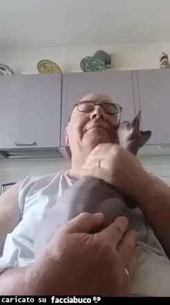 Gif Animata