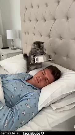 Gif Animata