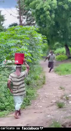 Gif Animata