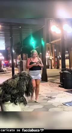 Gif Animata