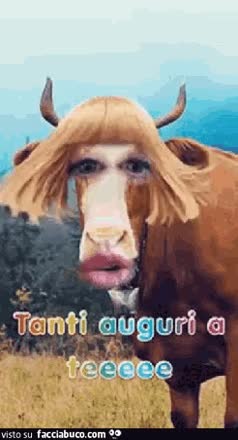 gif animata