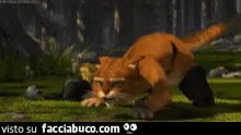 gif animata