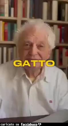 Gif Animata