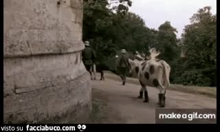 gif animata