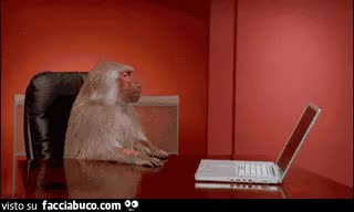 gif animata
