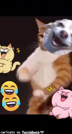 gif animata