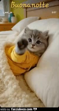 gif animata