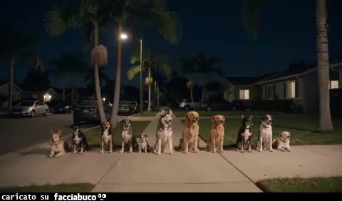Gif Animata