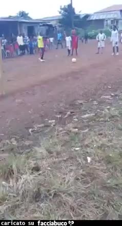 Gif Animata