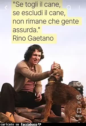Gif Animata