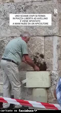 Gif Animata