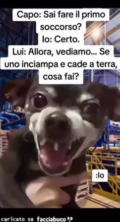 Gif Animata