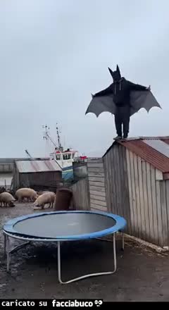 Gif Animata