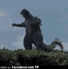 gif animata