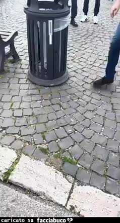 Gif Animata