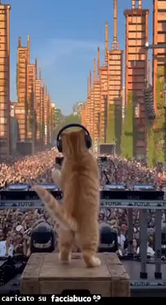 gif animata
