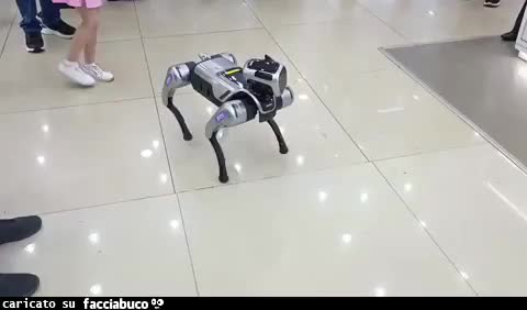 gif animata