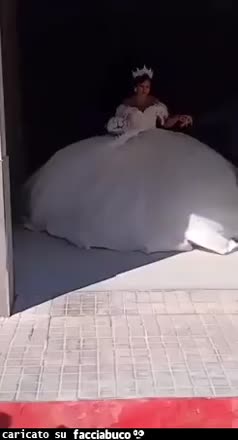 Gif Animata