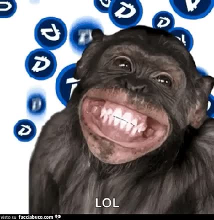 gif animata