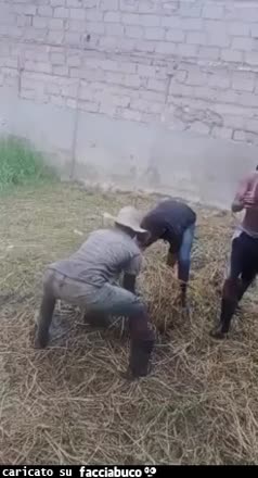 Gif Animata