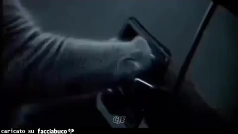 Gif Animata