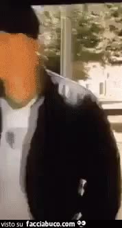 gif animata