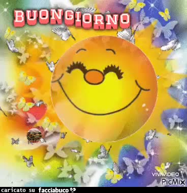 Gif Animata