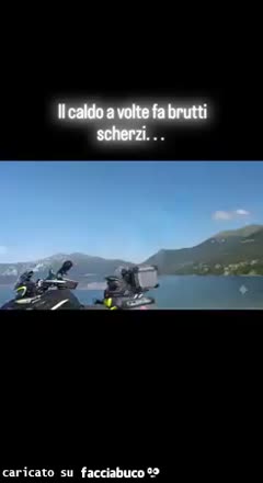 Gif Animata