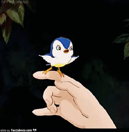 gif animata