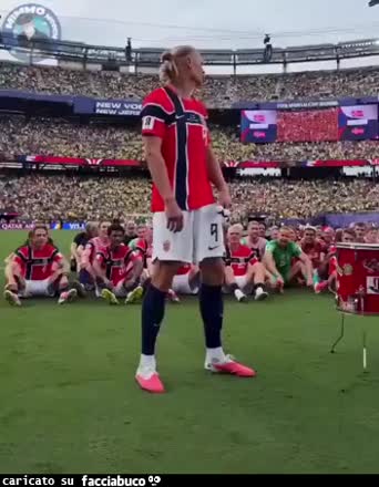 Gif Animata