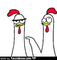gif animata