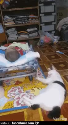 gif animata