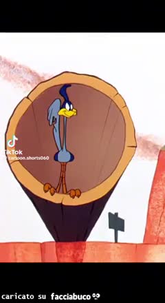 Gif Animata